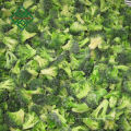 billig gefrorener Spinat für gefrorenes chinesisches Mischgemüse des Verkaufs